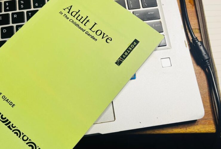 Tanure Ojaide’s Adult Love Debuts at ANA 2025