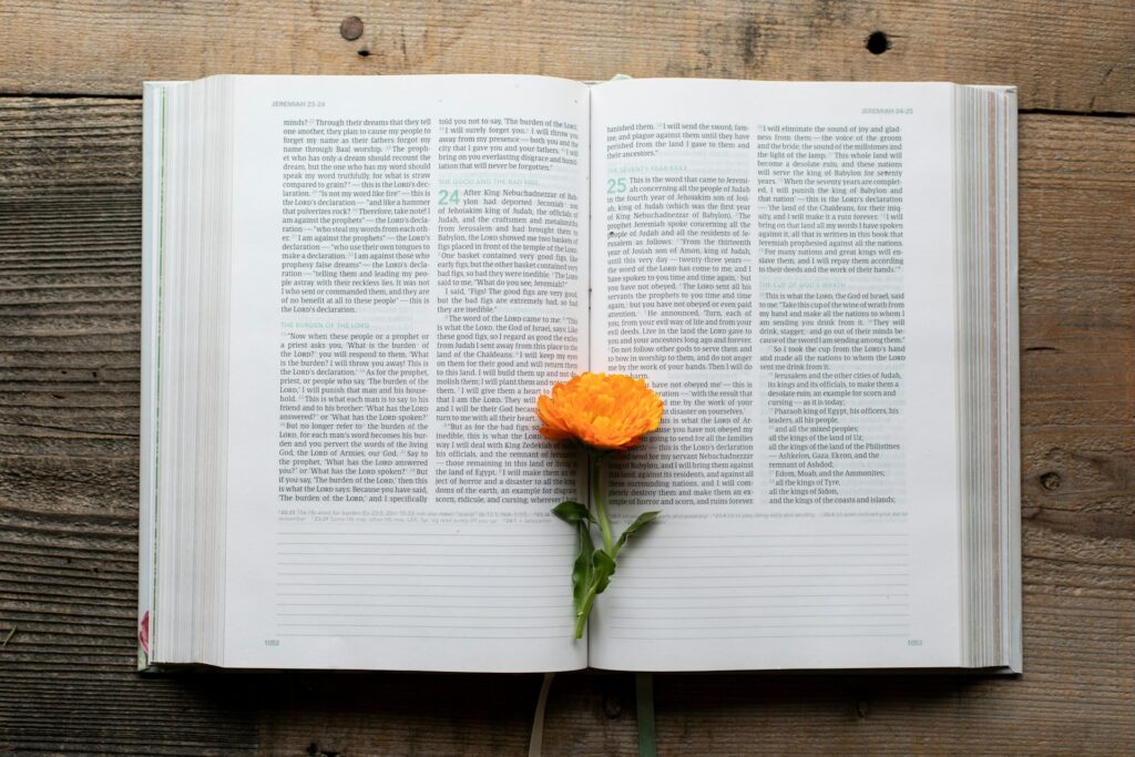 Three Poems by Maryam Yusuf Zubairu