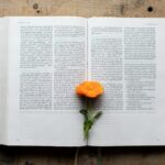 Three Poems by Maryam Yusuf Zubairu