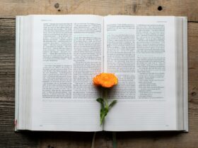 Three Poems by Maryam Yusuf Zubairu