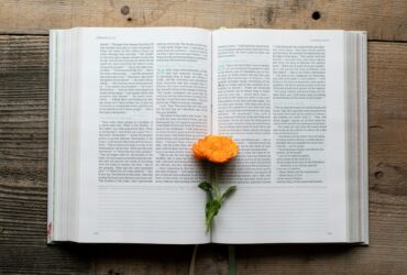 Three Poems by Maryam Yusuf Zubairu