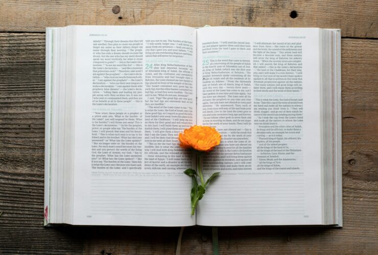 Three Poems by Maryam Yusuf Zubairu