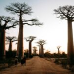 Three Poems by Izang Alexander Haruna
