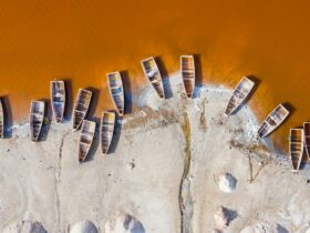 Three Poems by Aliyu Kamal
