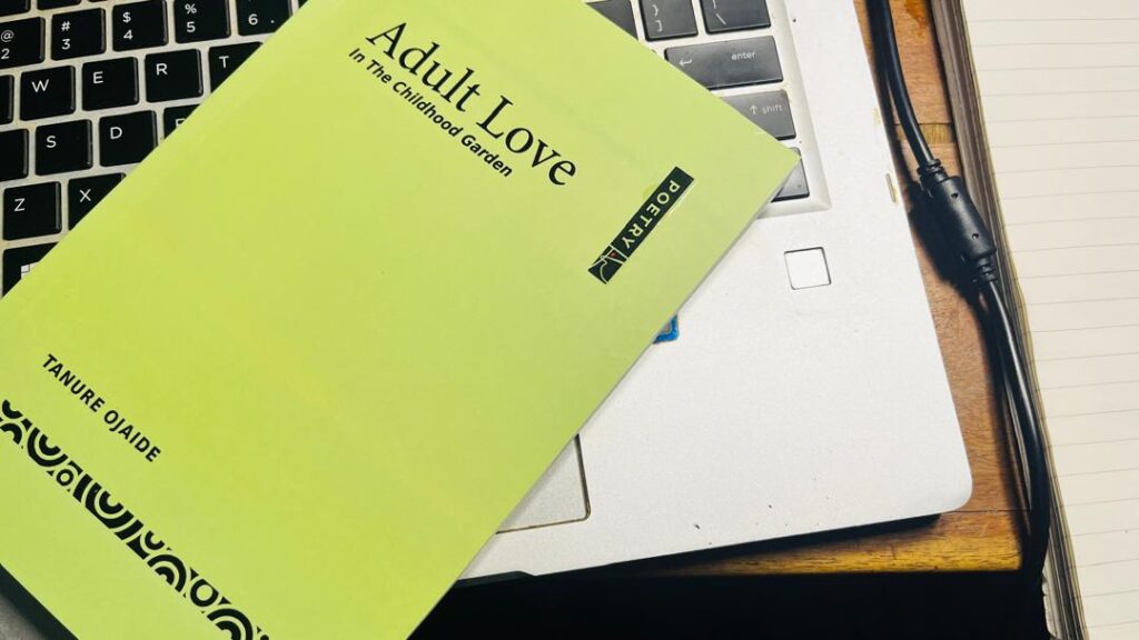 Adult Love by Tanure Ojaide