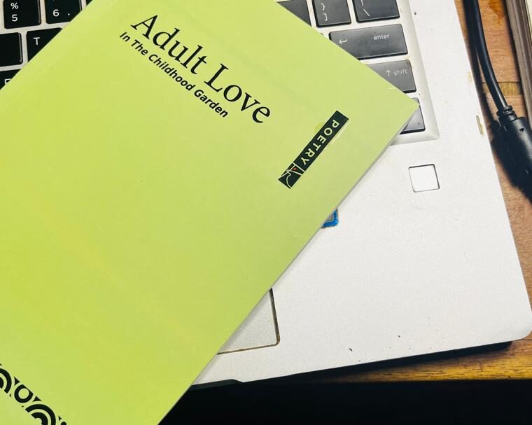Adult Love by Tanure Ojaide