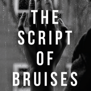 The Script of Bruises by Funmi Gaji