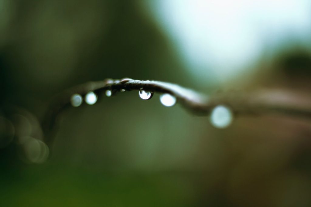 Three Poems by Abduljalal Musa Aliyu
