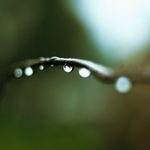 Three Poems by Abduljalal Musa Aliyu