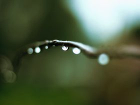 Three Poems by Abduljalal Musa Aliyu