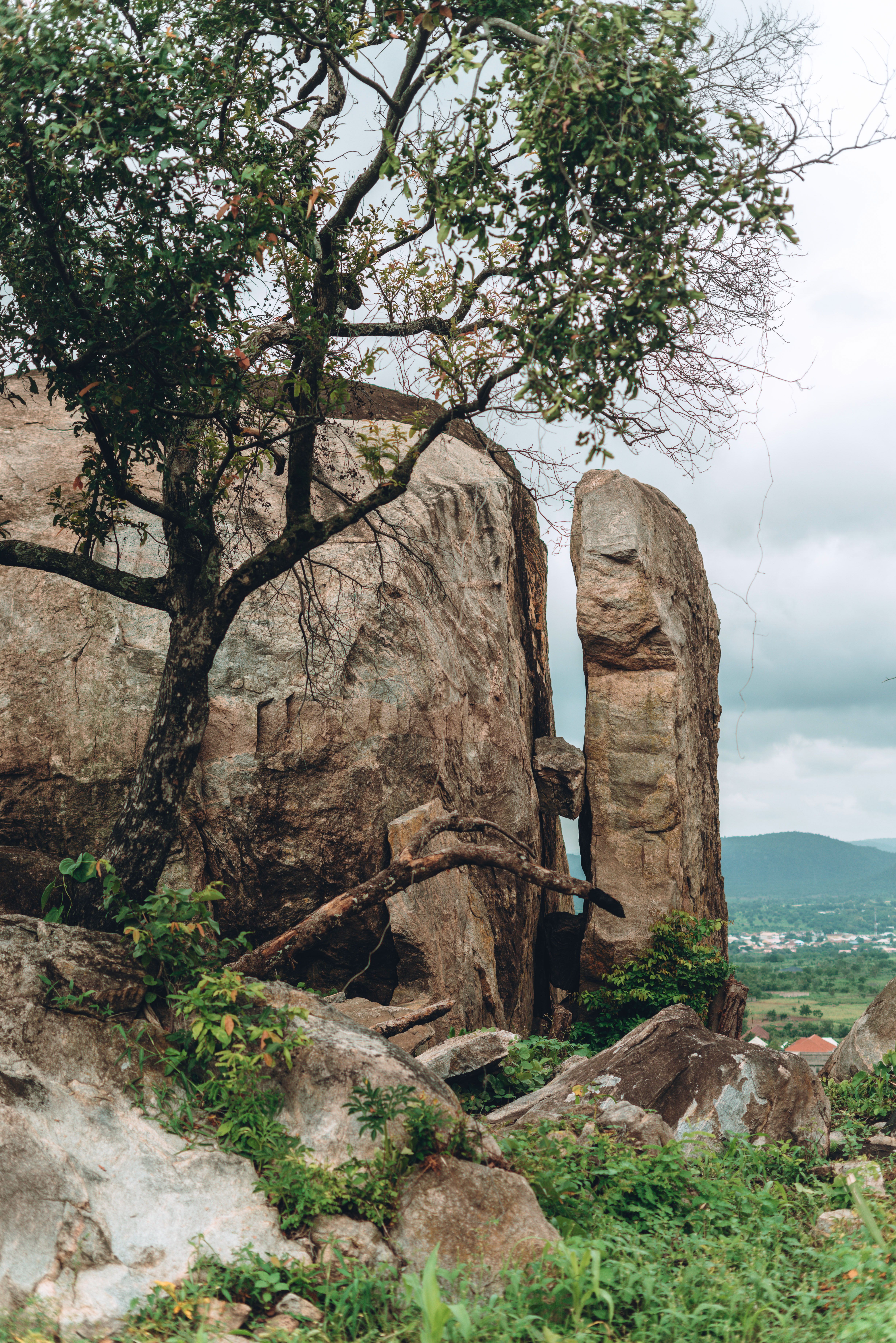 Three Poems by Toyin Adewale-Gabriel